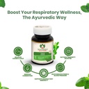 maharishi-ayurveda-organic-tulsi-contain-71jq75DRIuL.jpg