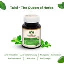 maharishi-ayurveda-organic-tulsi-contain-71JNWL1JilL.jpg