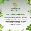 vlado-s-himalayan-organics-plant-based-v-71TJI5IEB9L.jpg