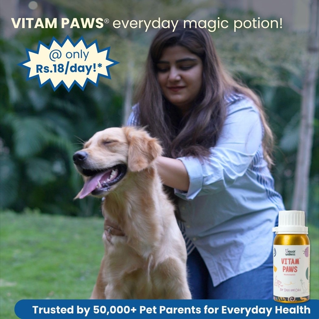 vitam-paws-200-ml-multivitamin-for-dogs--71Y1sDEUtIL.jpg