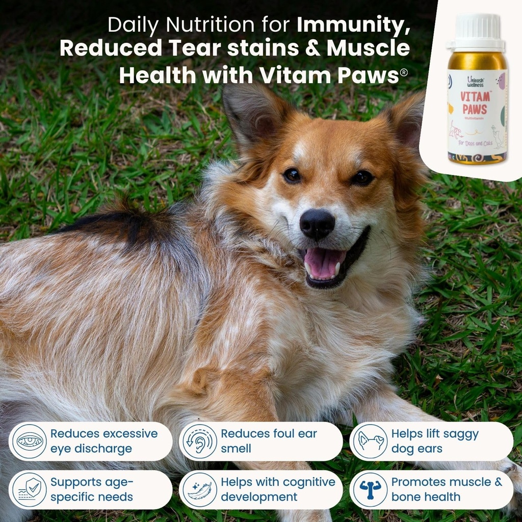 vitam-paws-200-ml-multivitamin-for-dogs--81b8hsbryvL.jpg