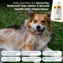 vitam-paws-200-ml-multivitamin-for-dogs--81b8hsbryvL.jpg