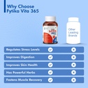 fytika-vita-365-30-tablets-pack-of-1-mul-7126w3Zj3-L.jpg
