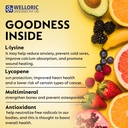 welloric-ekafit-l-l-lysine-lycopene-mult-71gv1i2qseL.jpg