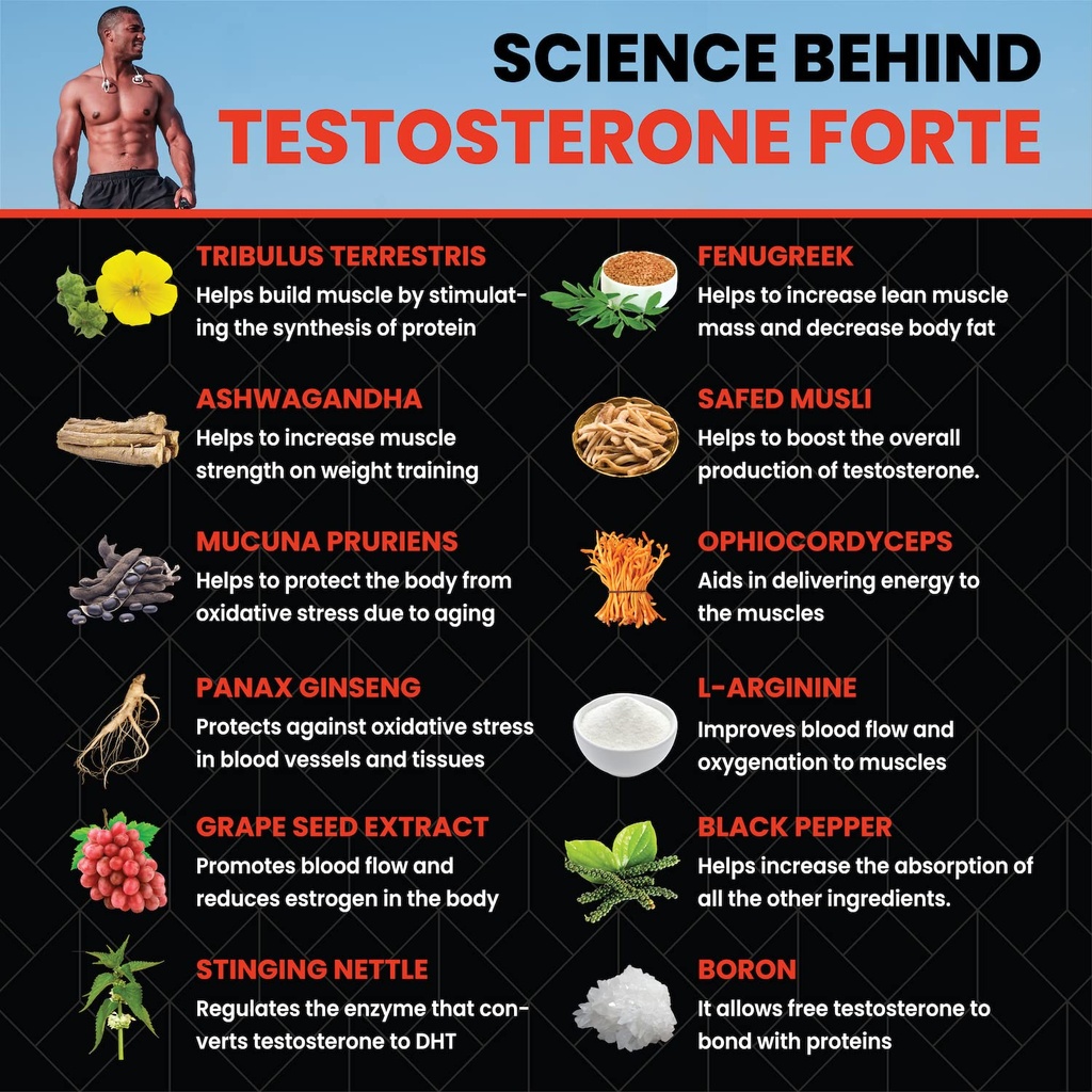 healeo-testo-forte-12-in-1-testosterone--81fqYpBRTNL.jpg