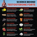 healeo-testo-forte-12-in-1-testosterone--81fqYpBRTNL.jpg