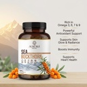 sea-buckthorn-berry-powder-capsules-natu-716zlmCBrzL.jpg