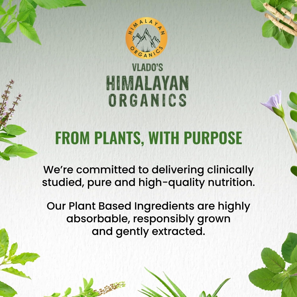 vlado-s-himalayan-organics-plant-based-v-71TJI5IEB9L.jpg