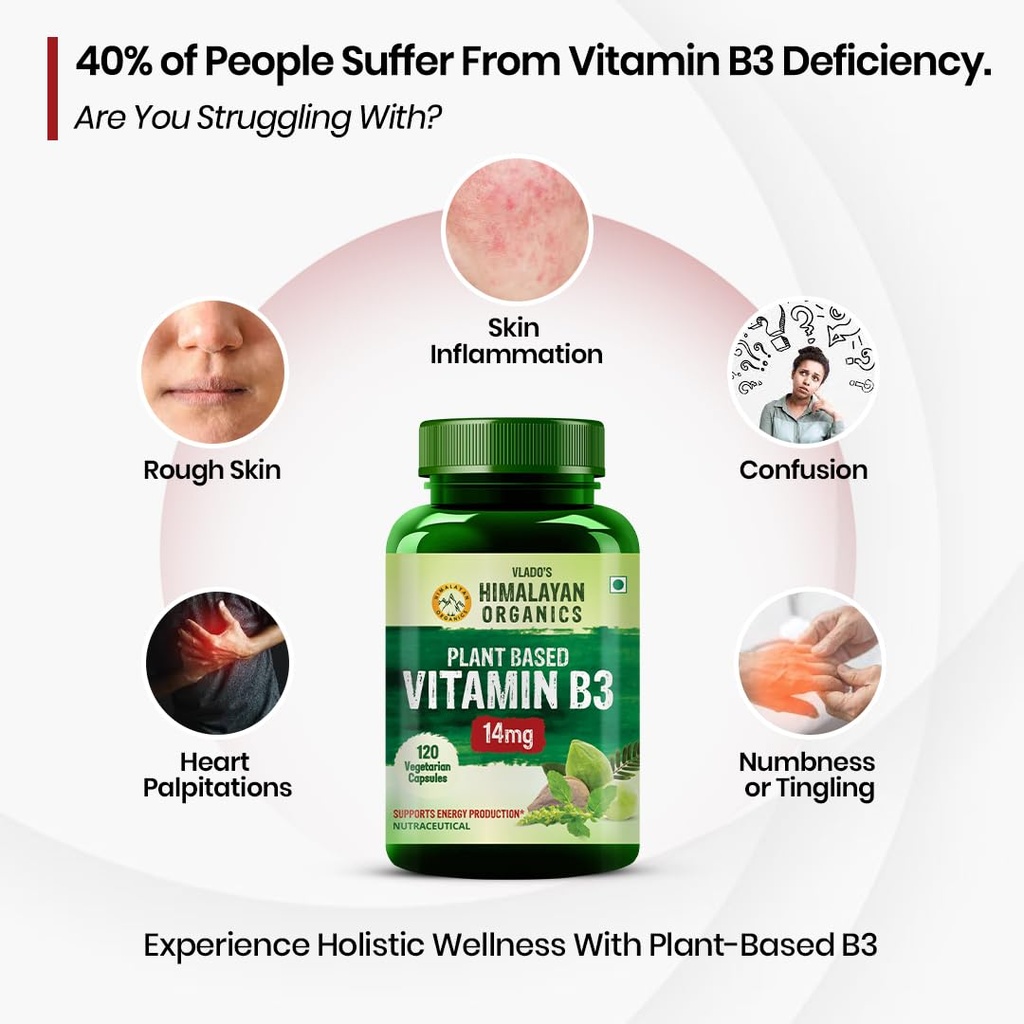 vlado-s-himalayan-organics-plant-based-v-61sSMaJLksL.jpg