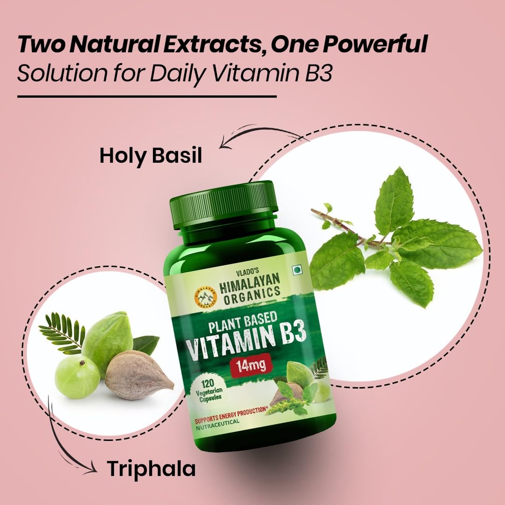 vlado-s-himalayan-organics-plant-based-v-61i3bjt+XuL.jpg