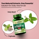 vlado-s-himalayan-organics-plant-based-v-61i3bjt+XuL.jpg