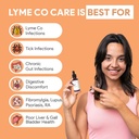 autoimmunity-care-lyme-co-care-drops-for-81XdMa477QL.jpg