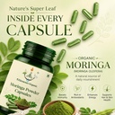 moringa-capsules-500-mg-60-vegan-capsule-71cSriA+fVL.jpg