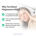 miduty-chelated-magnesium-bisglycinate-g-61INbp8HGWL.jpg