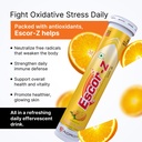 escor-z-effervescent-tablets-orange-flav-813VyoW2JpL.jpg