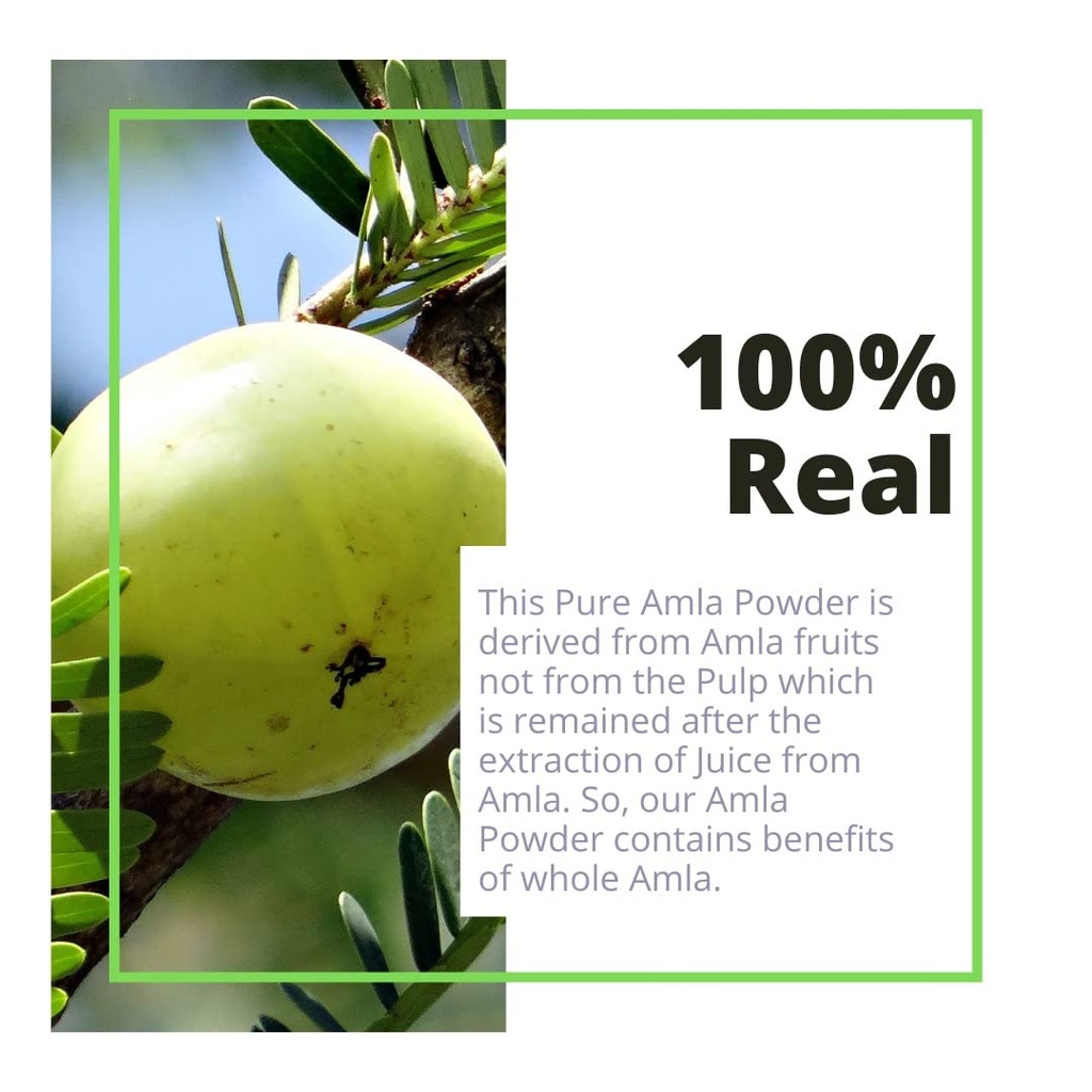 amla-fruit-powder-vitamin-c-rich-superfo-61wsXt5lbcL.jpg
