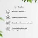 sitaram-ayurveda-amla-capsule-ayurvedic--71bW01Nq2jL.jpg