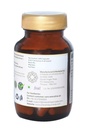 sitaram-ayurveda-amla-capsule-ayurvedic--619ZStYFkNL.jpg