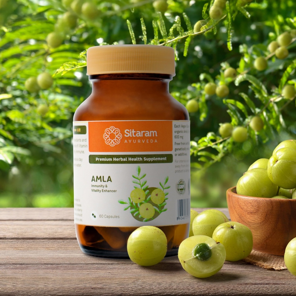sitaram-ayurveda-amla-capsule-ayurvedic--81XsJm+dglL.jpg