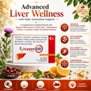 livyzenq10-10-tablets-silymarin-80-extra-71mRwHeMVcL.jpg