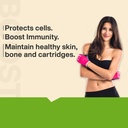 myfitfuel-natural-vitamin-c-with-zinc-fr-51X58yowmsS.jpg