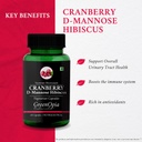 ginkgo-biloba-vegetarian-capsules-cranbe-61LBqx0yGoL.jpg