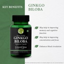 magnesium-glycinate-forte-tablets-ginkgo-617d5b7IeaL.jpg