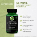 garlic-oil-neemint-wellness-daily-vitali-61sgukM5bQL.jpg