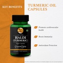 haldi-oil-vegetarian-capsules-grape-seed-61g9ErbRsHL.jpg