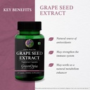 haldi-oil-vegetarian-capsules-grape-seed-61reQ13cZLL.jpg
