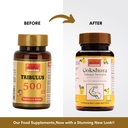ayurleaf-herbals-gokshura-tribulus-500mg-81waWX-JVLL.jpg