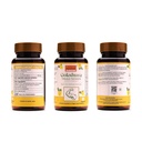 ayurleaf-herbals-gokshura-tribulus-500mg-812Gwkswg+L.jpg