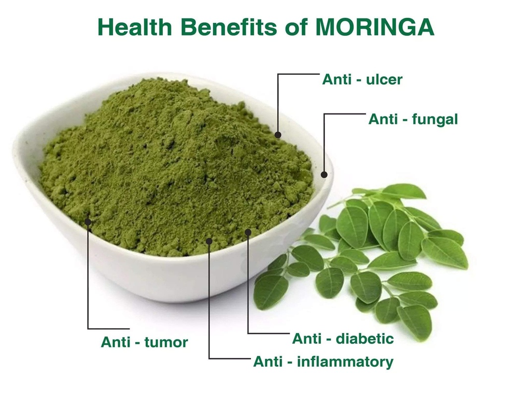a-d-food-herbs-organic-moringa-drumstick-71YhGL8DkDL.jpg