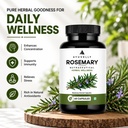 rosemary-leaf-extract-capsules-vegetaria-71K3dqfv2fL.jpg
