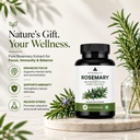 rosemary-leaf-capsules-veg-capsule-nutri-71Dw6meawsL.jpg