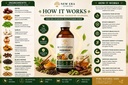 new-era-ayurveda-multivitamin-syrup-200--71dtZvcRS7L.jpg