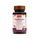 ayurleaf-herbals-kapikachhu-mucuna-pruri-710LGx8zHOL.jpg