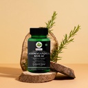 ashwagandha-ksm66-zinc-complex-wellness--71OyQHpEEyL.jpg