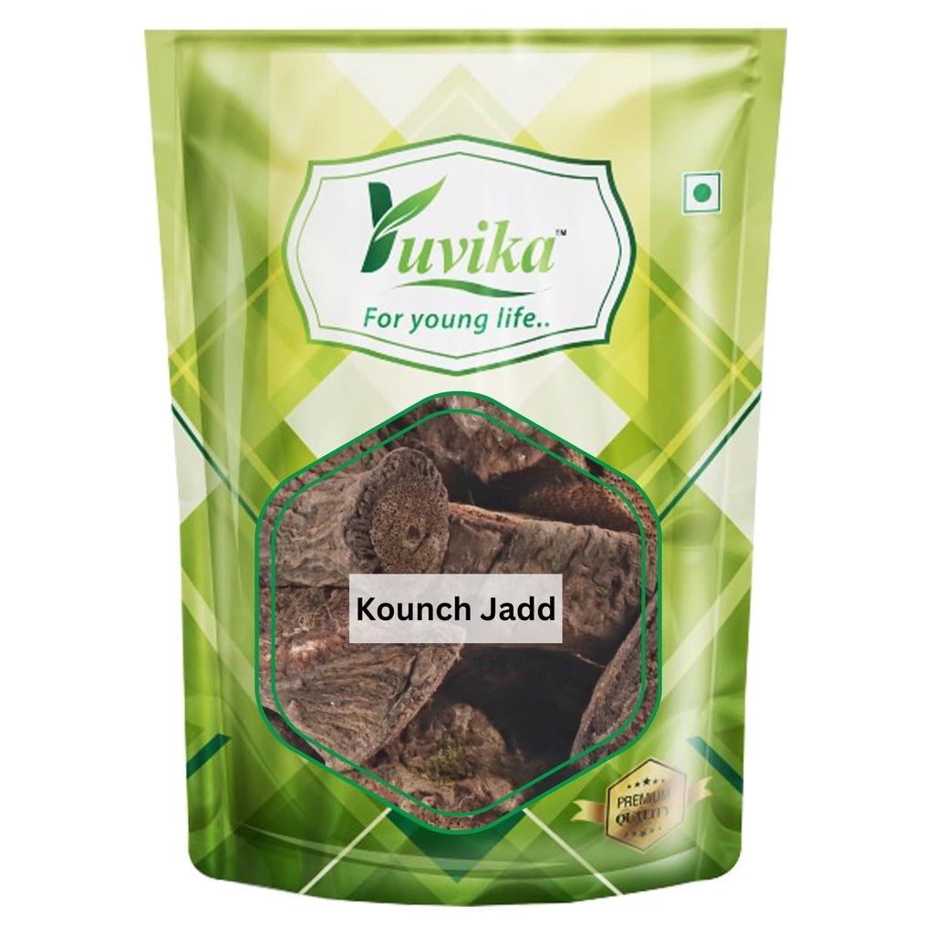 yuvika-konch-ki-jadd-kaunch-root-kounch--71h9aflXKGL.jpg