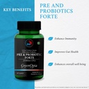 melatonin-10mg-with-tagar-250mg-tablets--61hKZS4HILL.jpg