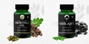 moringa-seed-oil-shilajit-wellness-daily-615p3Jzc+1L.jpg