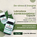 ashwagandha-30-capsule-pure-natural-orga-81KeAG7SxmL.jpg