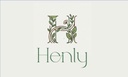 henly-pure-amla-powder-for-hair-growth-i-41RXCCngMaL.jpg