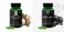 ashwagandha-ksm66-shilajit-wellness-dail-51HmHF2JHeL.jpg