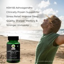 ashwagandha-ksm66-shilajit-wellness-dail-71J7kXLMWcL.jpg