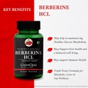 berberine-hcl-shilajit-wellness-daily-vi-61AXHhT7-oL.jpg