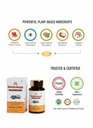 seedomega-omega-3-6-9-vegetarian-capsule-61WyTnnlgkL.jpg