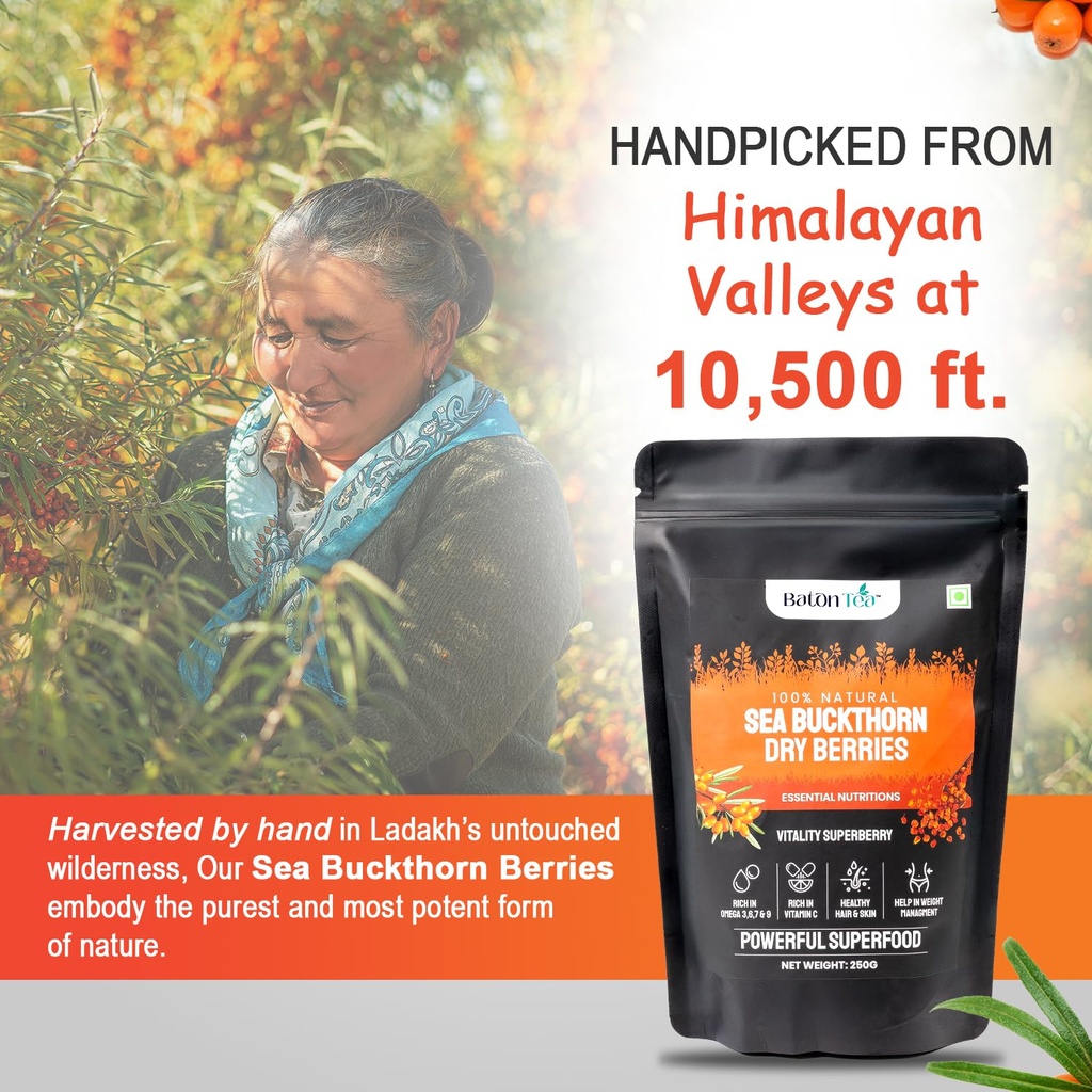baton-tea-sea-buckthorn-dry-berry-250gm--81A4cOVaH1L.jpg