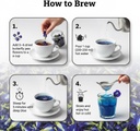 butterfly-pea-flower-tea-caffeine-free-h-61oEQMzXVVL.jpg