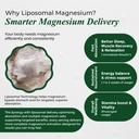 vlado-s-himalayan-organics-magnesium-sup-71ZvMQjKJkL.jpg